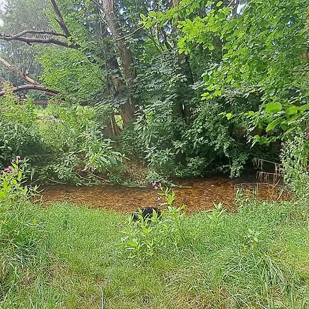 شقة Private 1-2,5 -zimmer-wohnung Mit Terrasse زولبيتش