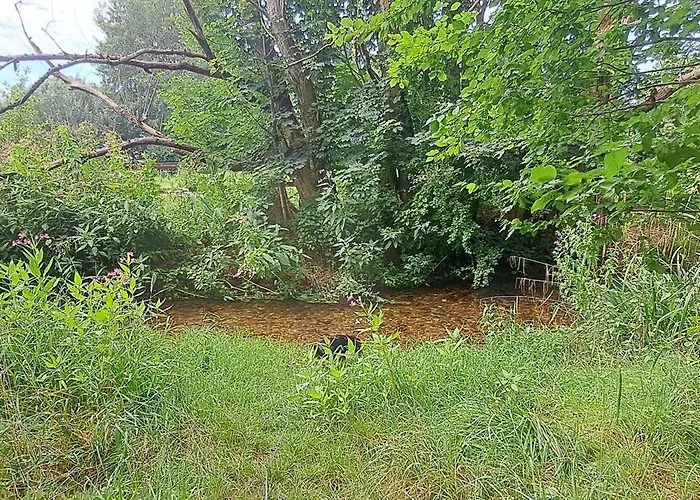 Apartment Private 1-2,5 -zimmer-wohnung Mit Terrasse Zulpich