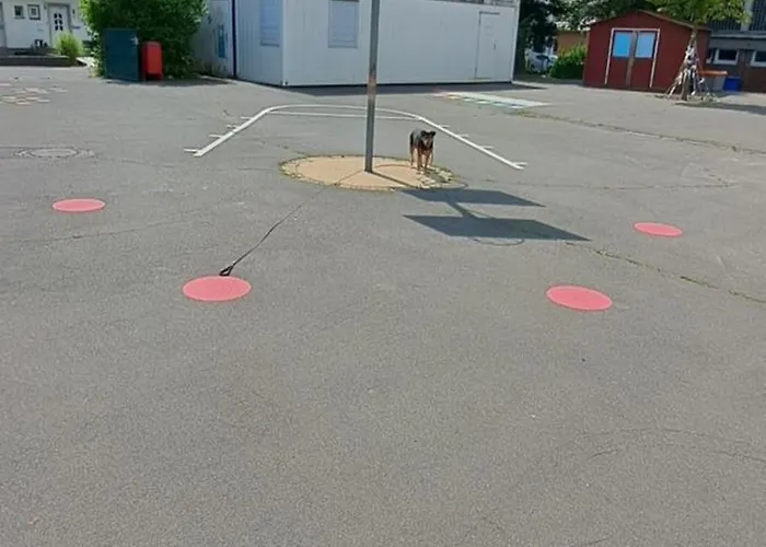 Private 1-2,5 -zimmer-wohnung Mit Terrasse *